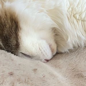 Meet your Posher, Natalie